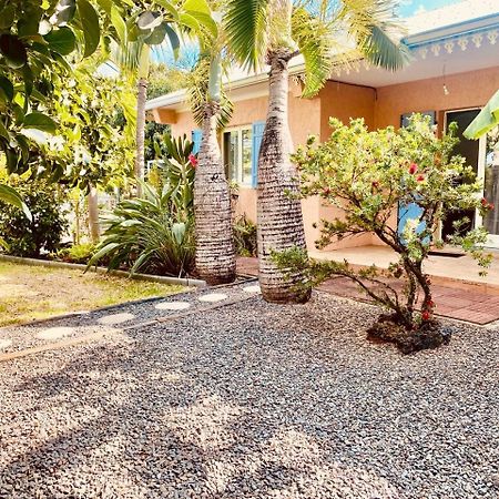 L'Oasis Saint Pierroise Et Son Jacuzzi Villa Exterior photo